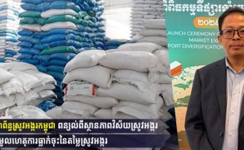 សហព័ន្ធស្រូវអង្ករកម្ពុជា ពន្យល់ពីស្ថានភាពវិស័យស្រូវអង្ករ និងមូលហេតុការធ្លាក់ចុះនៃតម្លៃស្រូវអង្ករ