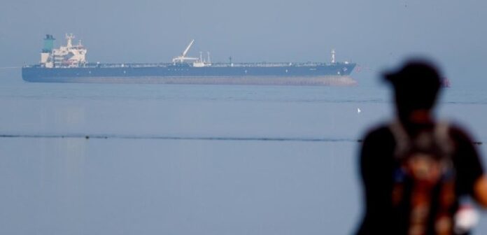 fn-2026-03-13-04-03-19-358