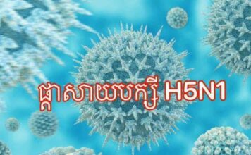 ក្រសួងសុខាភិបាល ប្រកាសពីការរកឃើញករណីជំងឺផ្តាសាយបក្សីលើស្ត្រីម្នាក់អាយុ ៦៦ឆ្នាំ នៅស្រុករំដួល ខេត្តស្វាយរៀង
