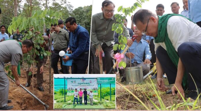 ក្រសួងបរិស្ថាន ជំរុញការចែកកូនឈើ ជូនពលរដ្ឋតាមរយៈយុទ្ធនាការ «ពន្លកបៃតង» ឆ្នាំ២០២៦ នៅមុខទីស្តីការក្រសួងបរិស្ថាន ចាប់ពីថ្ងៃទី១០-១៣ ខែកក្កដា