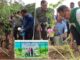ក្រសួងបរិស្ថាន ជំរុញការចែកកូនឈើ ជូនពលរដ្ឋតាមរយៈយុទ្ធនាការ «ពន្លកបៃតង» ឆ្នាំ២០២៦ នៅមុខទីស្តីការក្រសួងបរិស្ថាន ចាប់ពីថ្ងៃទី១០-១៣ ខែកក្កដា
