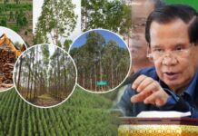 សម្តេចតេជោ ហ៊ុន សែន គាំទ្រការវិនិយោគដាំដើមប្រេងខ្យល់ នៅភូមិសាស្ត្រខេត្តក្រចេះ