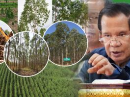 សម្តេចតេជោ ហ៊ុន សែន គាំទ្រការវិនិយោគដាំដើមប្រេងខ្យល់ នៅភូមិសាស្ត្រខេត្តក្រចេះ