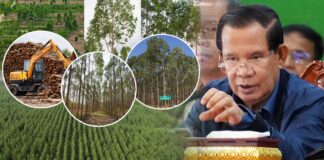សម្តេចតេជោ ហ៊ុន សែន គាំទ្រការវិនិយោគដាំដើមប្រេងខ្យល់ នៅភូមិសាស្ត្រខេត្តក្រចេះ
