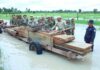 កងកម្លាំងចម្រុះស្រុកសណ្តាន់ បង្ក្រាបបទល្មើសព្រៃឈើទាន់មាផ្សែង មានតែកុកទេដែលភ្លេចជង់ តែជង់មិនដែលភ្លេចកុកឡើយ