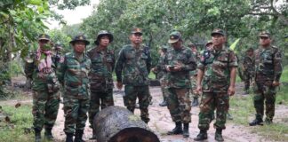 មេបញ្ជាការតំបន់ប្រតិបត្តិការសឹករងកំពង់ធំ ប្រគល់ឈើប្រណិតចំនួន ៣៤ កំណាត់ ជូនសង្កាត់រដ្ឋបាលព្រៃឈើទំរីង ស្រុកសណ្ដាន់ ខេត្តកំពង់ធំ ដើម្បីចាត់ការតាមនីតិវិធីច្បាប់